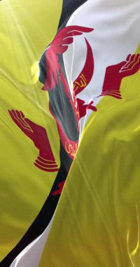 Brunei ulusunun bayrağı. 4K dikey. Döngü