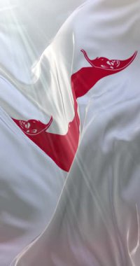 Paskalya adasının bayrağı. 4K dikey. Döngü