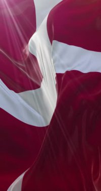 Danimarka bayrağı. 4K dikey. Döngü