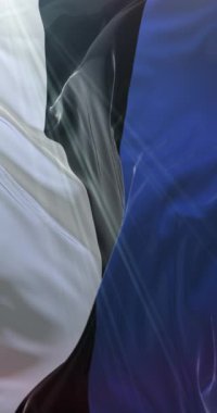 Estonya bayrağı. 4K dikey. Döngü