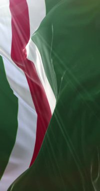 Ichkeria Çeçen Cumhuriyeti bayrağı yavaş, döngü içinde. 4K Dikey