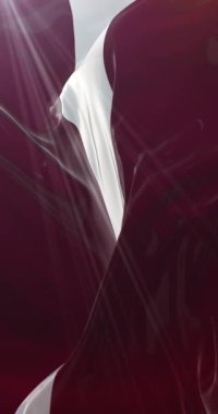 Letonya bayrağı. 4K dikey. Döngü