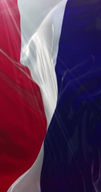 Los Altos bayrağı. 4K dikey. Döngü