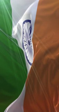 Hindistan bayrağı. 4K dikey. Döngü