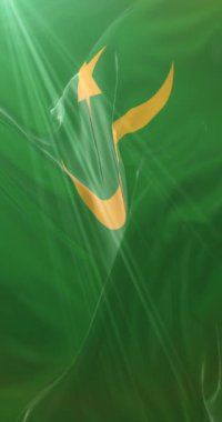 Moritanya bayrağı. 4K dikey. Döngü