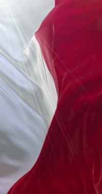 Monako bayrağı. 4K dikey. Döngü