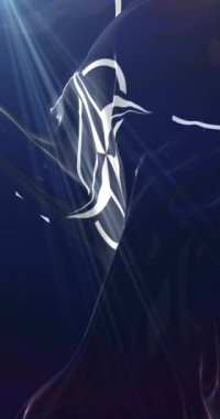 NATO Bayrağı. 4K dikey. Döngü