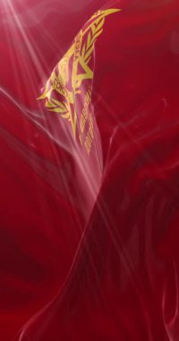 Varşova Paktı bayrağı. 4K dikey. Döngü