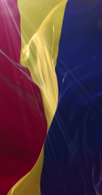 Romanya bayrağı. 4K dikey. Döngü