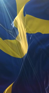 İsveç Bayrağı. 4K dikey. Döngü