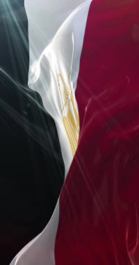 Mısır bayrağı. 4K dikey. Döngü