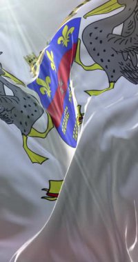 Aziz Barthelemy bayrağı. 4K dikey. Döngü