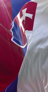 Slovakya bayrağı. 4K dikey. Döngü