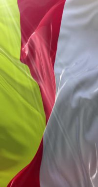 Güney Osetya bayrağı. 4K dikey. Döngü