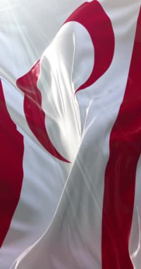 Kuzey Kıbrıs Türk Cumhuriyeti bayrağı. 4K dikey. Döngü