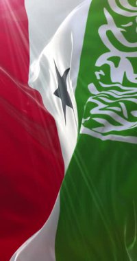 Somaliland bayrağı. 4K dikey. Döngü