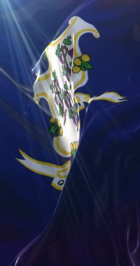 Connecticut Eyaleti bayrağı, Amerika Birleşik Devletleri bölgesi. Döngü. 4K Dikey