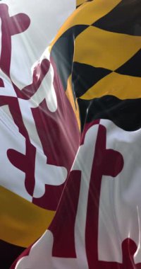 Amerika Birleşik Devletleri 'nin Maryland eyaletinin bayrağı. Döngü. 4K Dikey