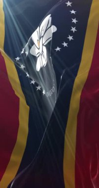 Amerika Birleşik Devletleri 'nin Mississippi eyaletinin bayrağı. Döngü. 4K Dikey