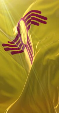 New Mexico eyaleti bayrağı, Birleşik Devletler bölgesi - döngü. 4K Dikey