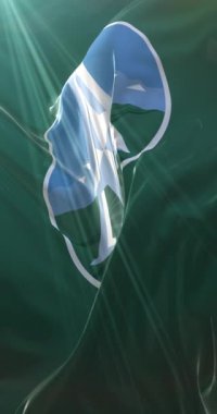 Adams County, Colorado, ABD bayrağı. 4K dikey. Döngü