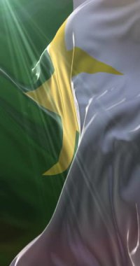 Forsyth County Bayrağı, Kuzey Carolina, ABD. 4K dikey. Döngü