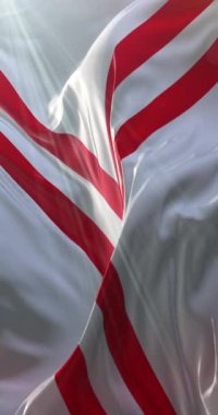 Henry County Bayrağı, Alabama, Birleşik Devletler. 4K dikey. Döngü