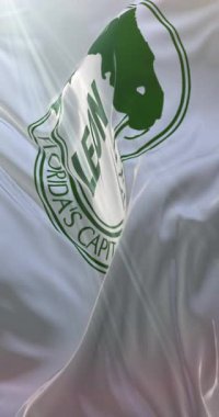 Leon bayrağı, Florida eyaleti, Birleşik Devletler. 4K dikey. Döngü