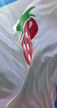 Searcy County Flag, Florida, ABD. 4K dikey. Döngü