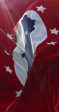 St. Clair bayrağı, Alabama, Amerika Birleşik Devletleri. Döngü. 4K Dikey