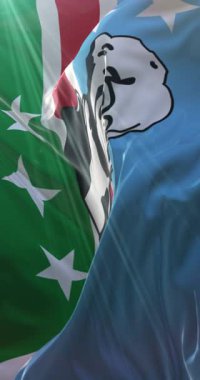 Washington Eyaleti bayrağı, Amerika Birleşik Devletleri. Döngü. 4K Dikey