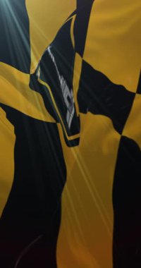 Baltimore şehri, Maryland, Amerika Birleşik Devletleri bayrağı. 4K dikey. Döngü