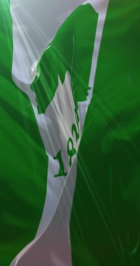 Aroostook İlçesi Bayrağı, Maine, ABD. 4K dikey. Döngü