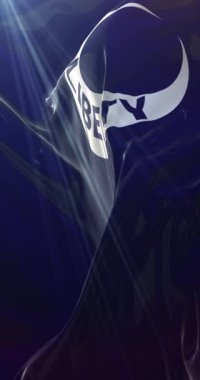 Fort Moultrie Bayrağı, Güney Carolina, Birleşik Devletler. 4K dikey. Döngü