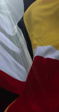 Frederick County Bayrağı, Maryland, Birleşik Devletler. 4K dikey. Döngü