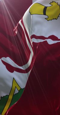 Howard County Bayrağı, Maryland, ABD. 4K dikey. Döngü