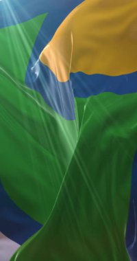 Peoria County Flag, Illinois, ABD. 4K dikey. Döngü