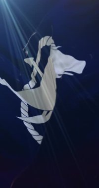 Nantucket bayrağı, Massachusetts, Amerika Birleşik Devletleri. Döngü. 4K Dikey