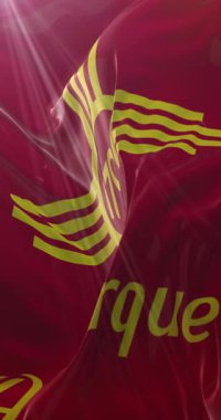 Albuquerque bayrağı, Amerika Birleşik Devletleri şehri. 4K dikey. Döngü