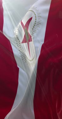 Birmingham bayrağı, Alabama, Amerika Birleşik Devletleri. 4K dikey. Döngü