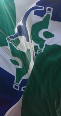 Columbia şehir bayrağı, Missouri eyaleti, Amerika Birleşik Devletleri. 4K dikey. Döngü