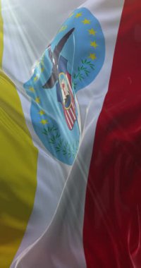 Columbus bayrağı, Amerika Birleşik Devletleri. 4K dikey. Döngü