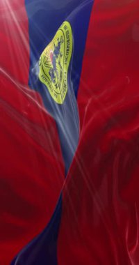 Downey şehrinin bayrağı, California, Amerika Birleşik Devletleri. 4K dikey. Döngü