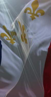 New Orleans bayrağı, Amerika Birleşik Devletleri, yavaş. 4K dikey. Döngü