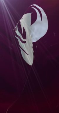 Phoenix bayrağı, Amerika Birleşik Devletleri. Döngü. 4K Dikey