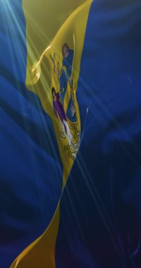 Philly Pride Flag veya Philadelphia Pride Flag. Döngü. 4K Dikey