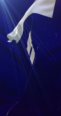 Reno şehir bayrağı, Nevada, ABD ya da Amerika Birleşik Devletleri. 4K dikey. Döngü