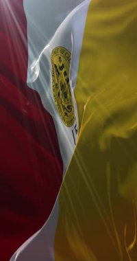 San Diego şehir bayrağı, ABD ya da Amerika Birleşik Devletleri. 4K dikey. Döngü