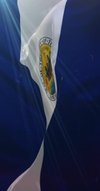 Toledo şehir bayrağı, Ohio, Amerika Birleşik Devletleri, yavaş. 4K dikey. Döngü