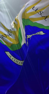 Vancouver bayrağı, Washington şehri, Birleşik Devletler, yavaş. 4K dikey. Döngü